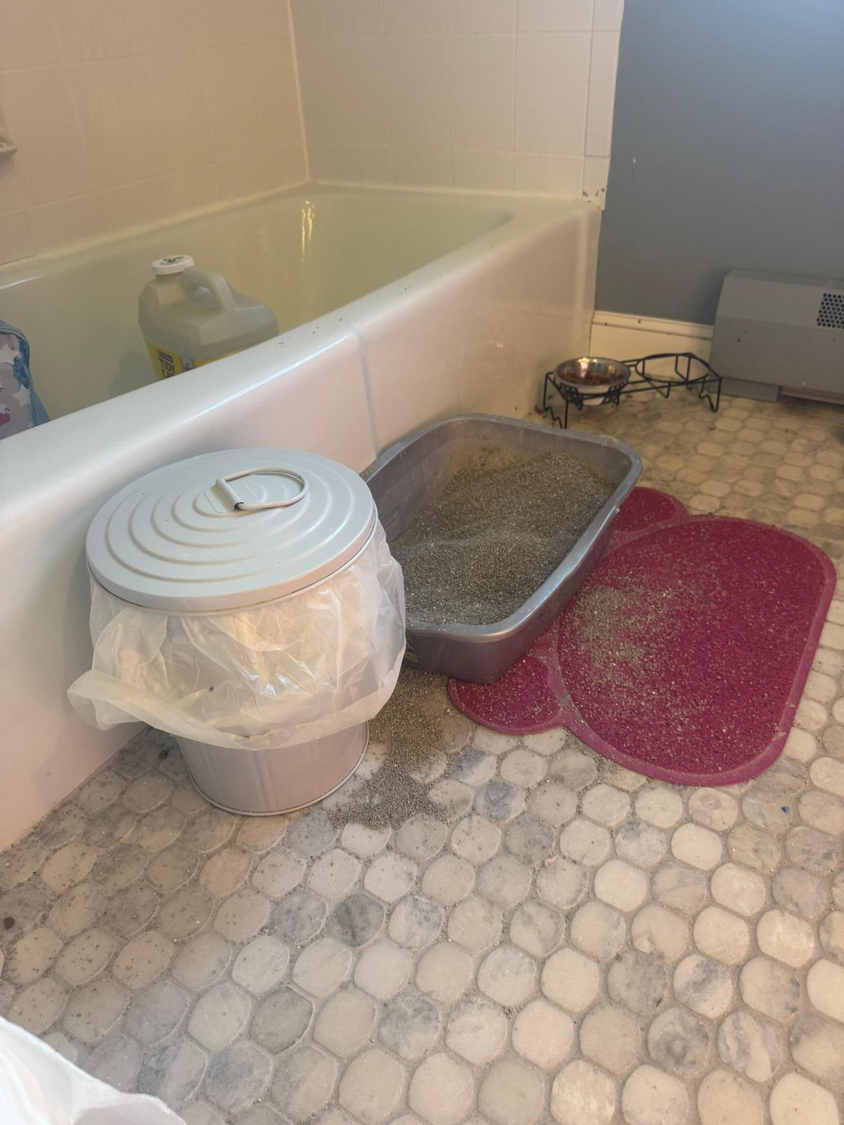 Move-out cleaning finished